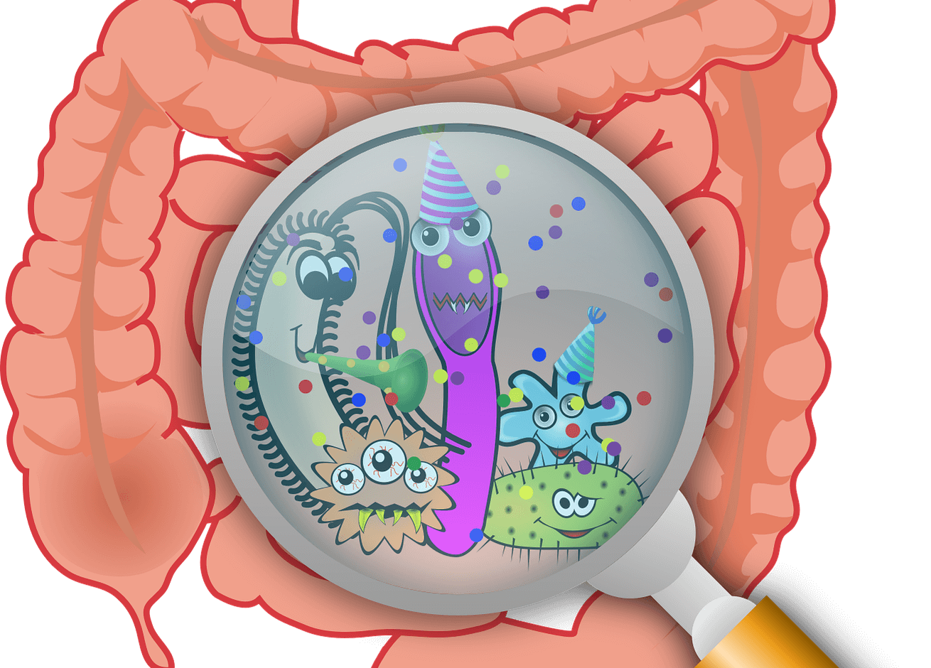 Boost your gut microbiome with fermented foods! Learn how to use fermented foods at home to improve gut health naturally and safely.